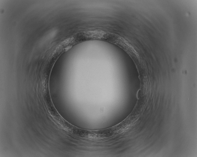 X0000083060641200702161757