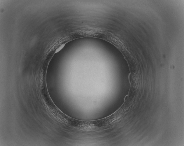 X0000083060642200702161757