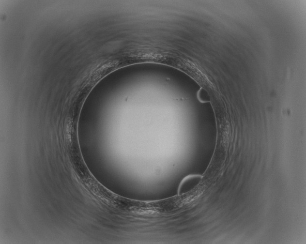 X0000083060643200702161757