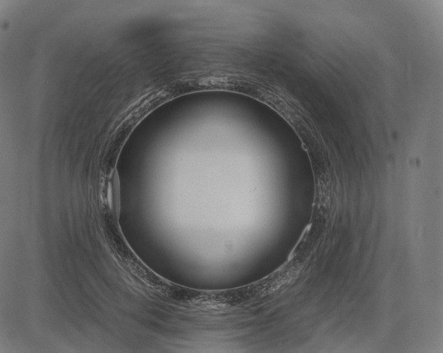 X0000083060648200702161757