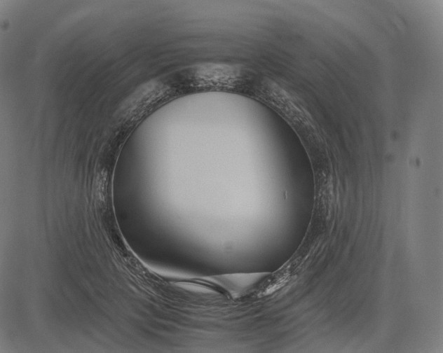 X0000083060649200702161757