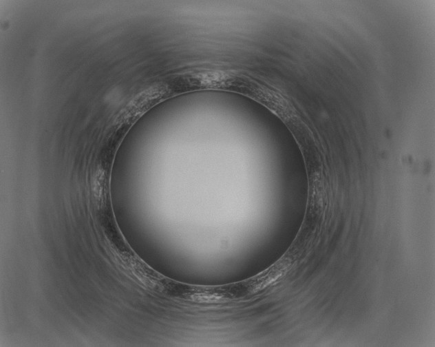 X0000083060650200702161757