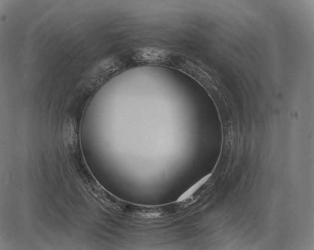 X0000083060651200702161758