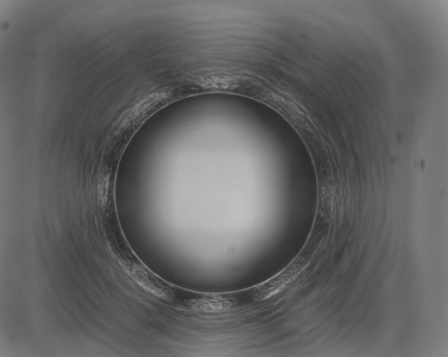 X0000083060652200702161758