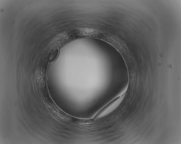 X0000083060653200702161758