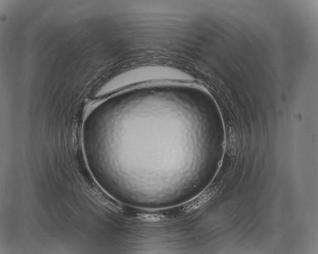 X0000083060654200702161758