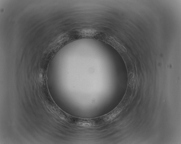 X0000083060655200702161758