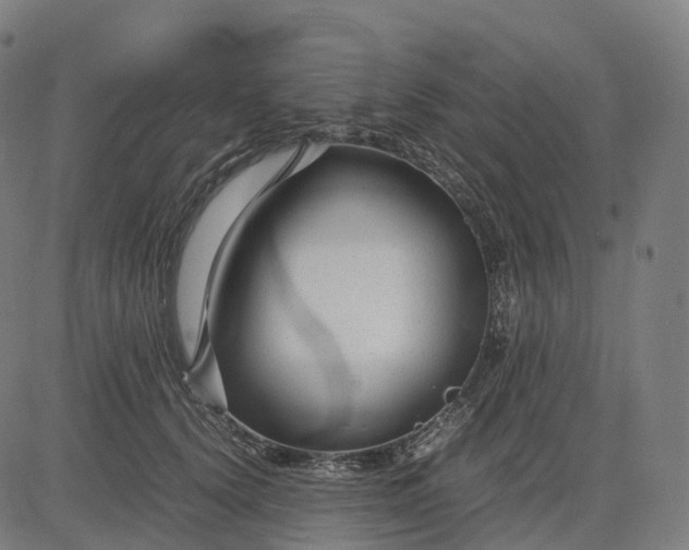 X0000083060656200702161758