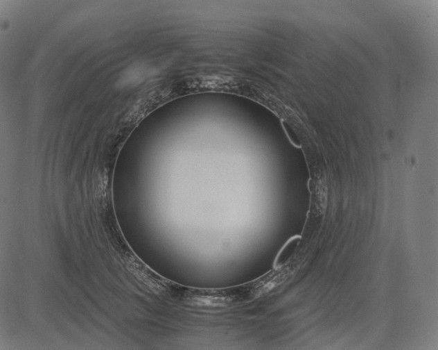 X0000083060657200702161758