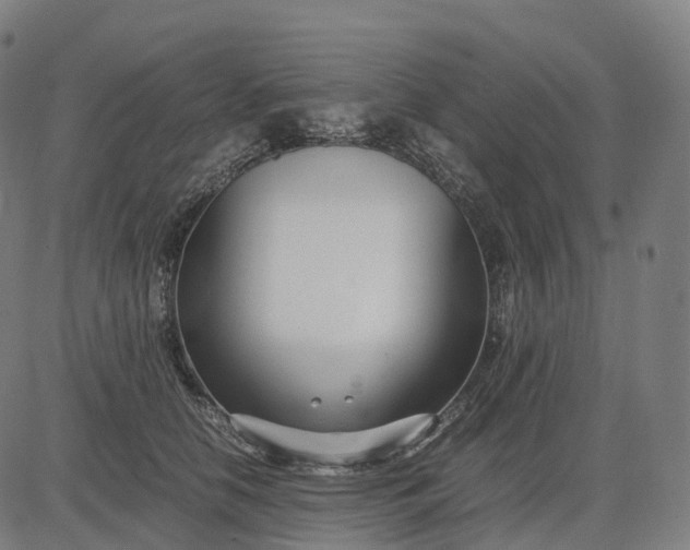 X0000083060658200702161758