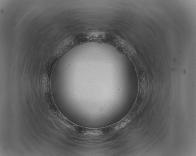 X0000083060659200702161758