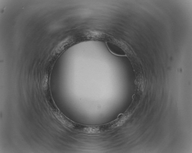 X0000083060660200702161758