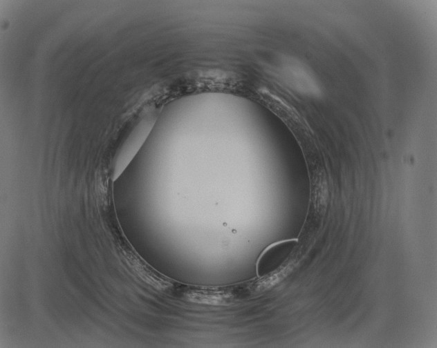 X0000083060661200702161758