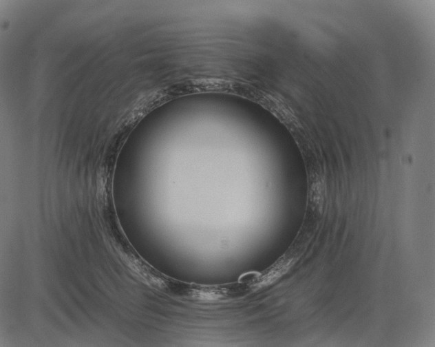 X0000083060662200702161758