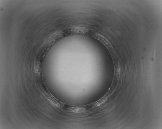 X0000083060663200702161758