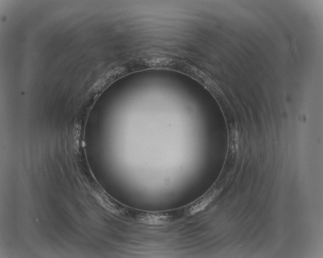 X0000083060664200702161758