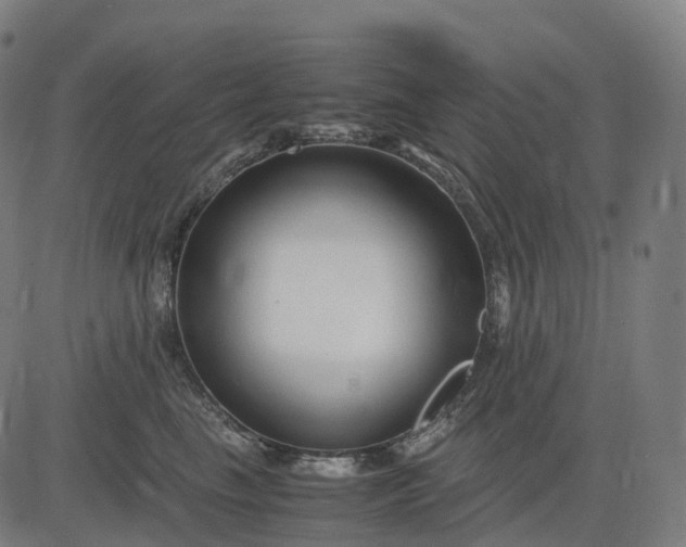 X0000083060665200702161758