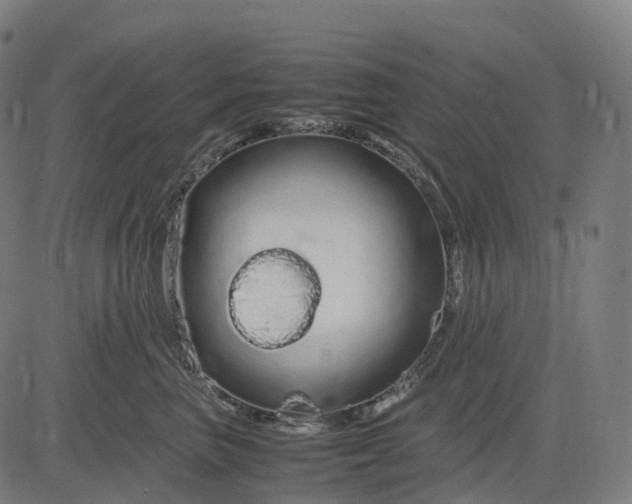 X0000083060667200702161758