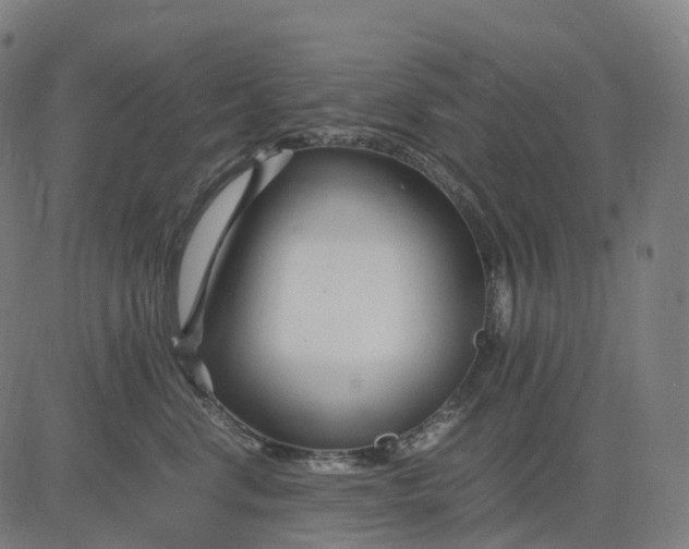 X0000083060668200702161758