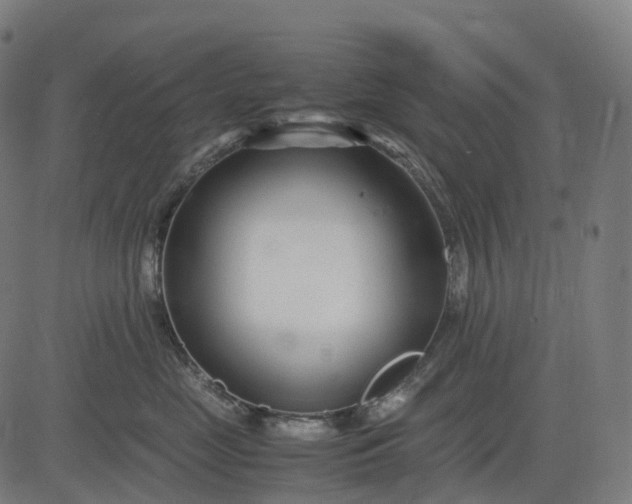 X0000083060669200702161758