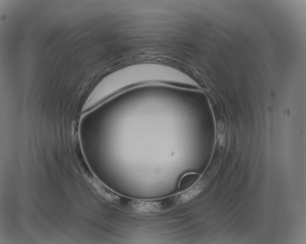 X0000083060670200702161758