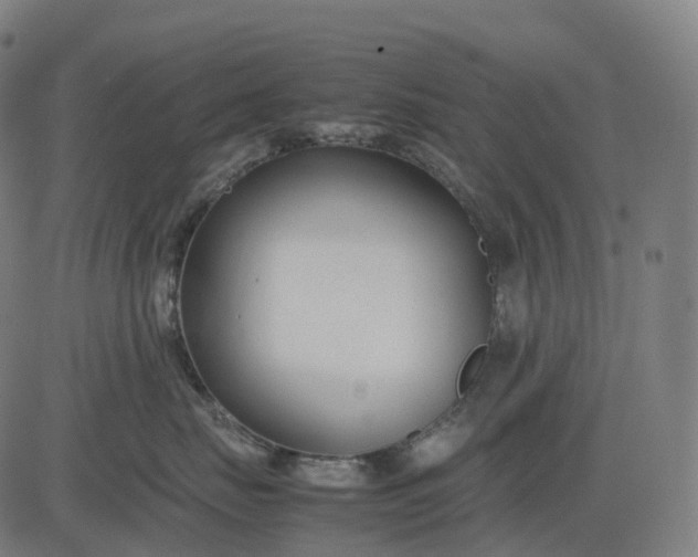 X0000083060671200702161758