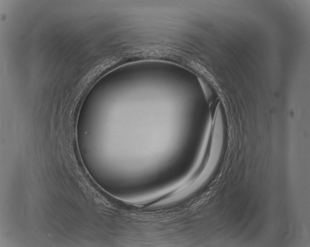 X0000083060673200702161757