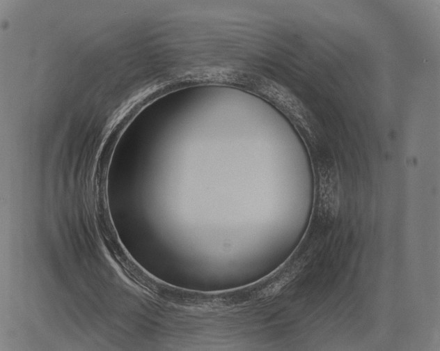 X0000083060674200702161757