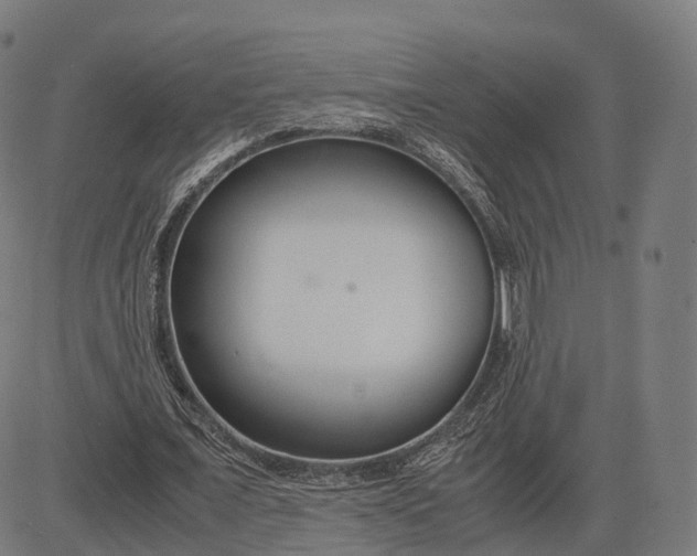 X0000083060675200702161757