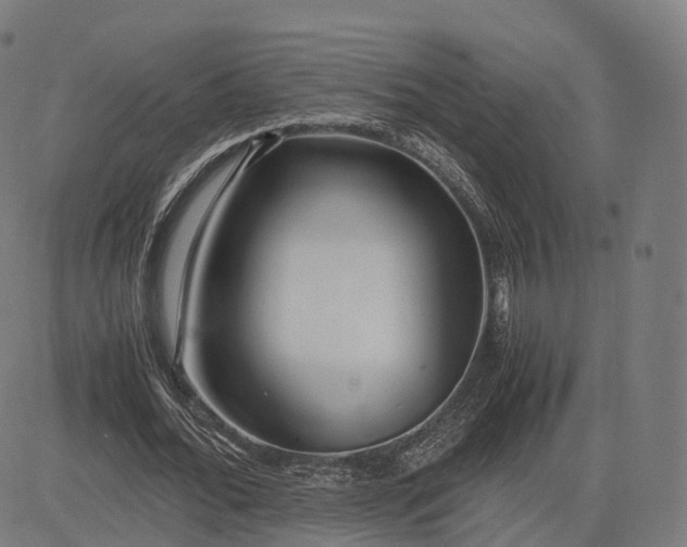 X0000083060676200702161757