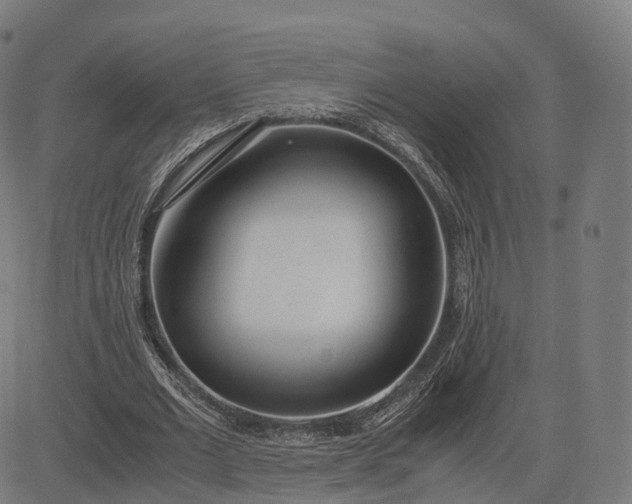 X0000083060677200702161757