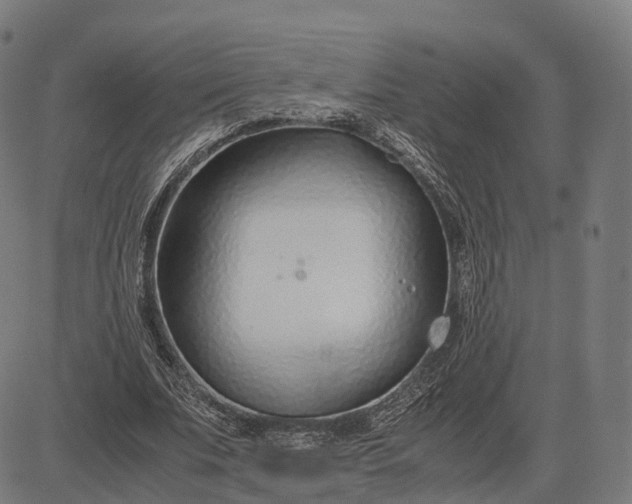 X0000083060679200702161757