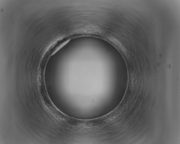 X0000083060680200702161757