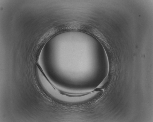 X0000083060681200702161757