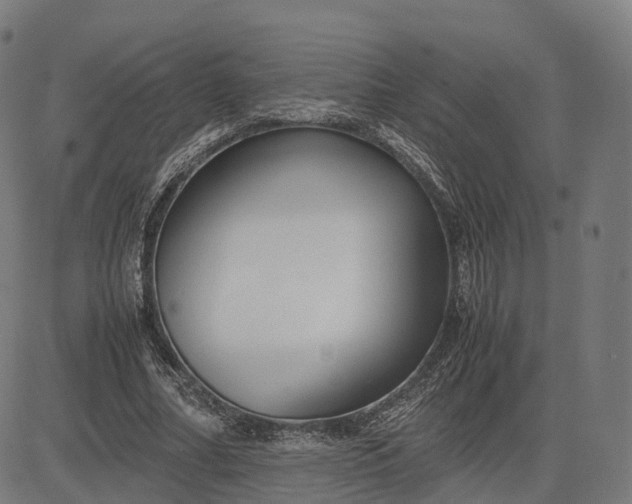 X0000083060682200702161757