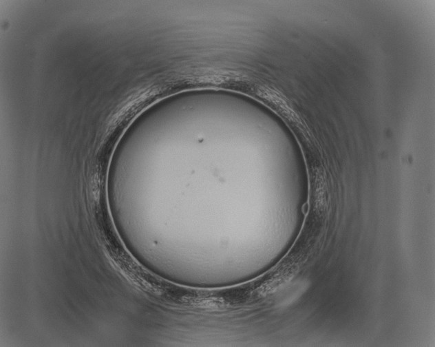 X0000083060683200702161757