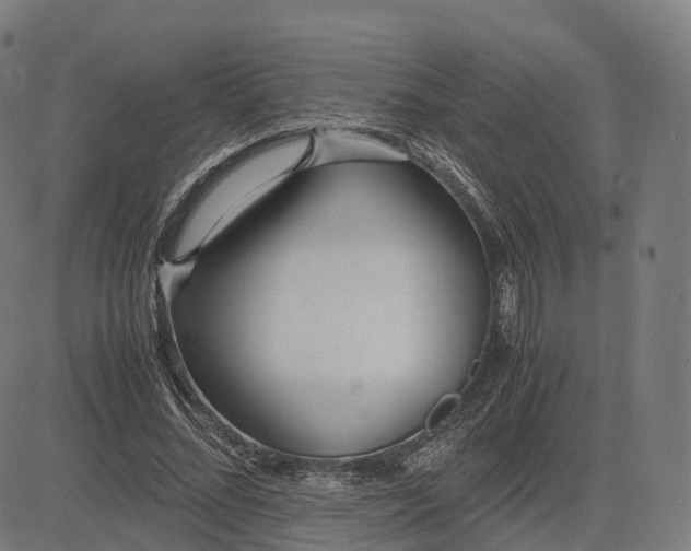 X0000083060684200702161757