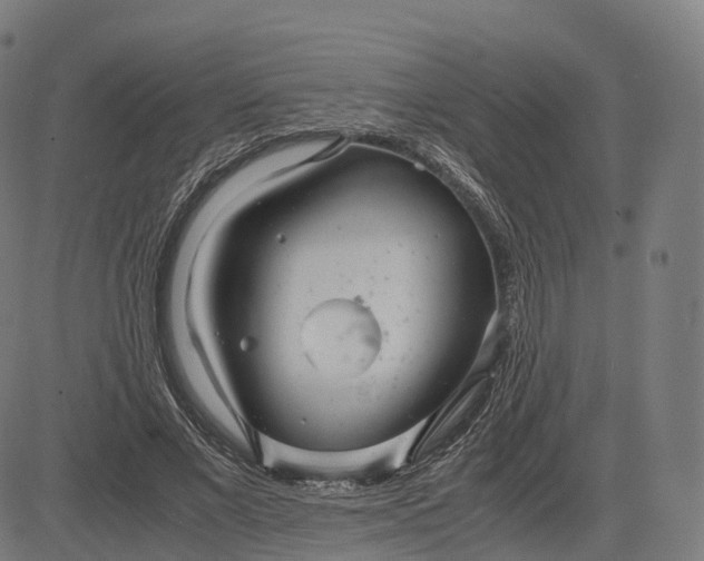 X0000083060685200702161757