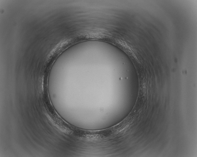 X0000083060686200702161757