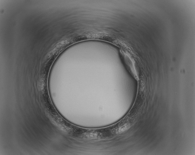 X0000083060687200702161757