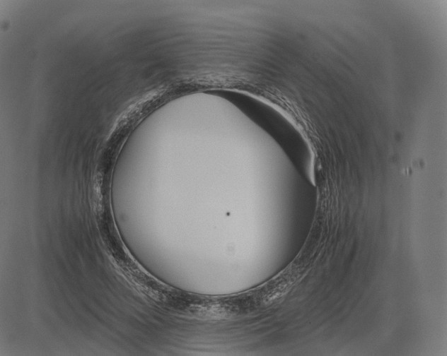 X0000083060688200702161757