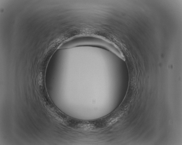 X0000083060689200702161757