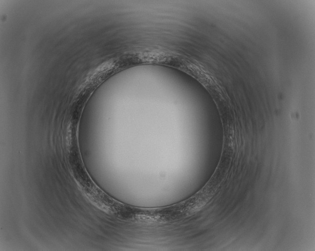 X0000083060690200702161757