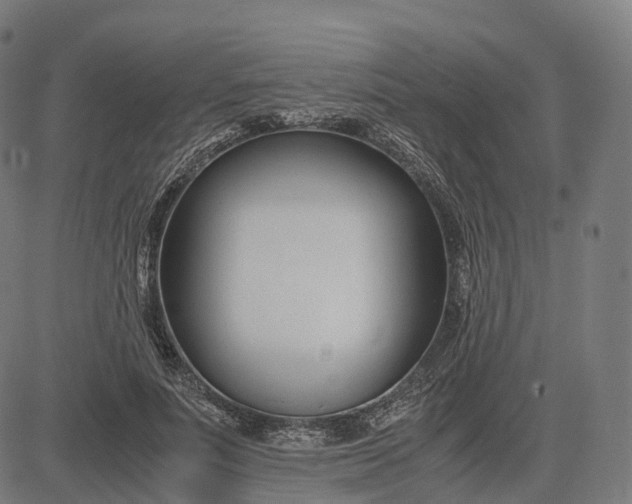 X0000083060691200702161757