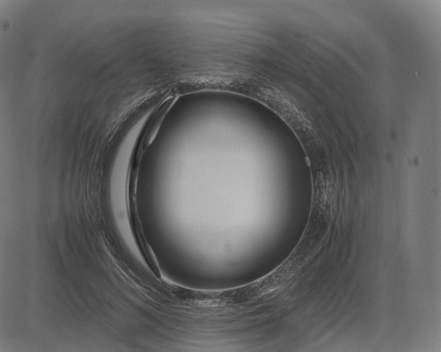 X0000083060692200702161757