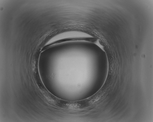 X0000083060693200702161757