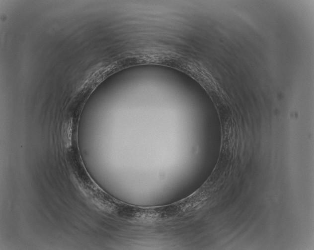 X0000083060694200702161757