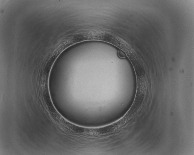 X0000083060695200702161757