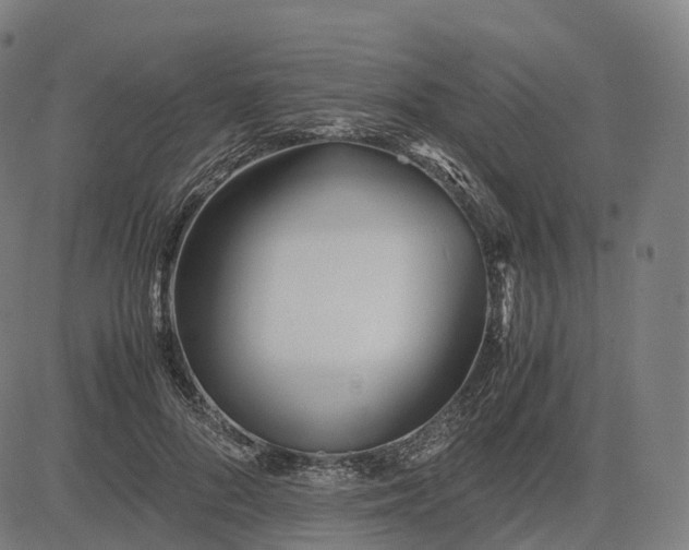 X0000083060696200702161757