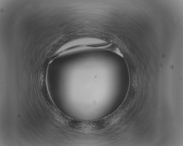 X0000083060697200702161757